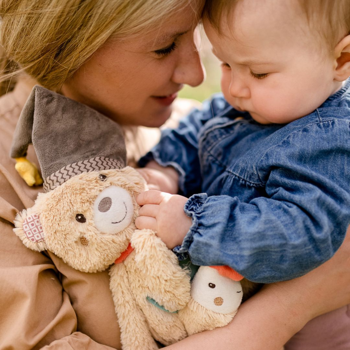 Activity Bear - Fehn - Image 4