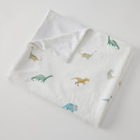 Dallying Dinosaurs Soft Fleece Blanket