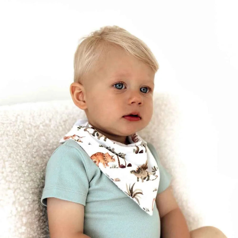 Dino Organic Dribble Bib - Snuggle Hunny - Image 1