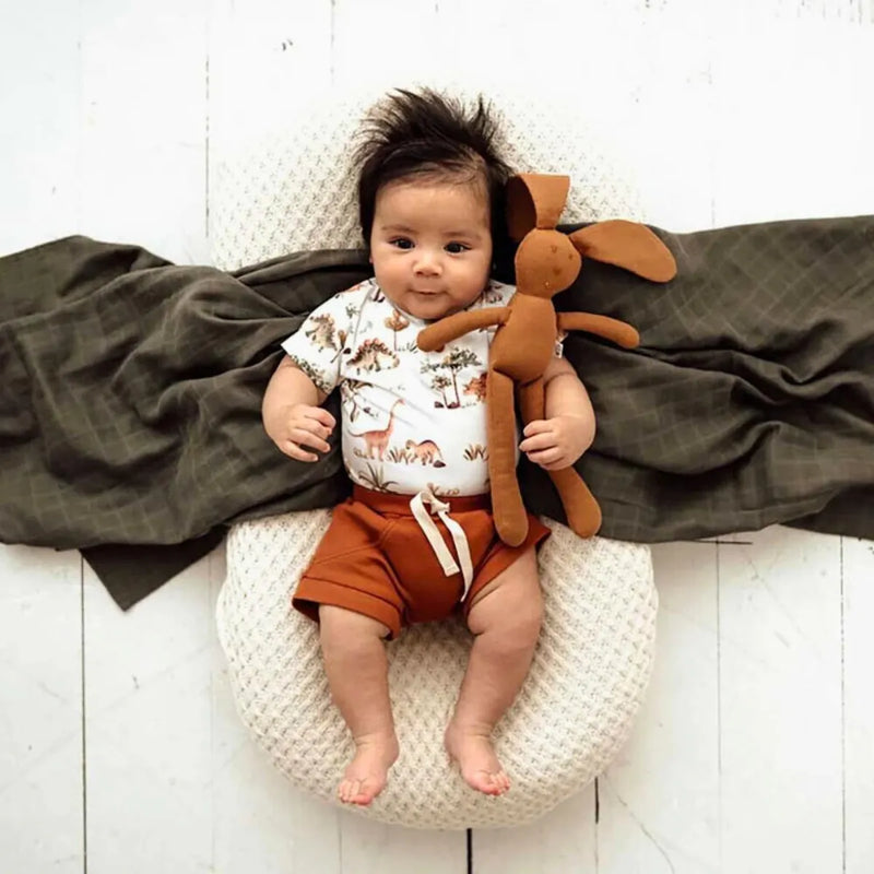 Dino Short Sleeve Organic Bodysuit - Snuggle Hunny - Image 1