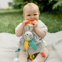 Activity Comforter Hare
