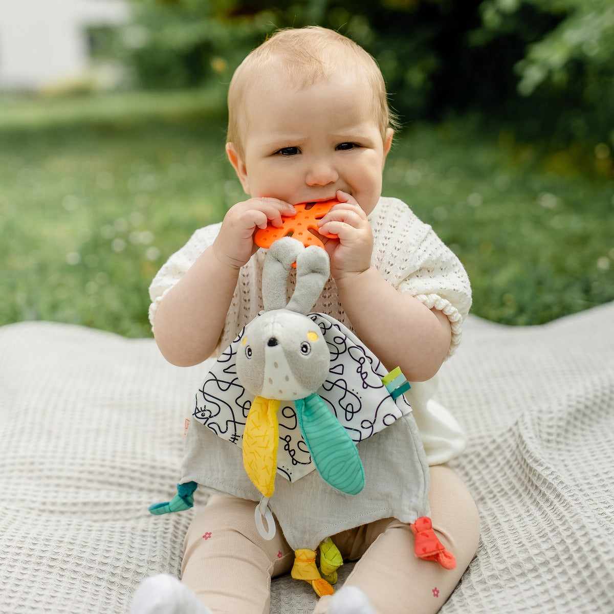 Activity Comforter Hare