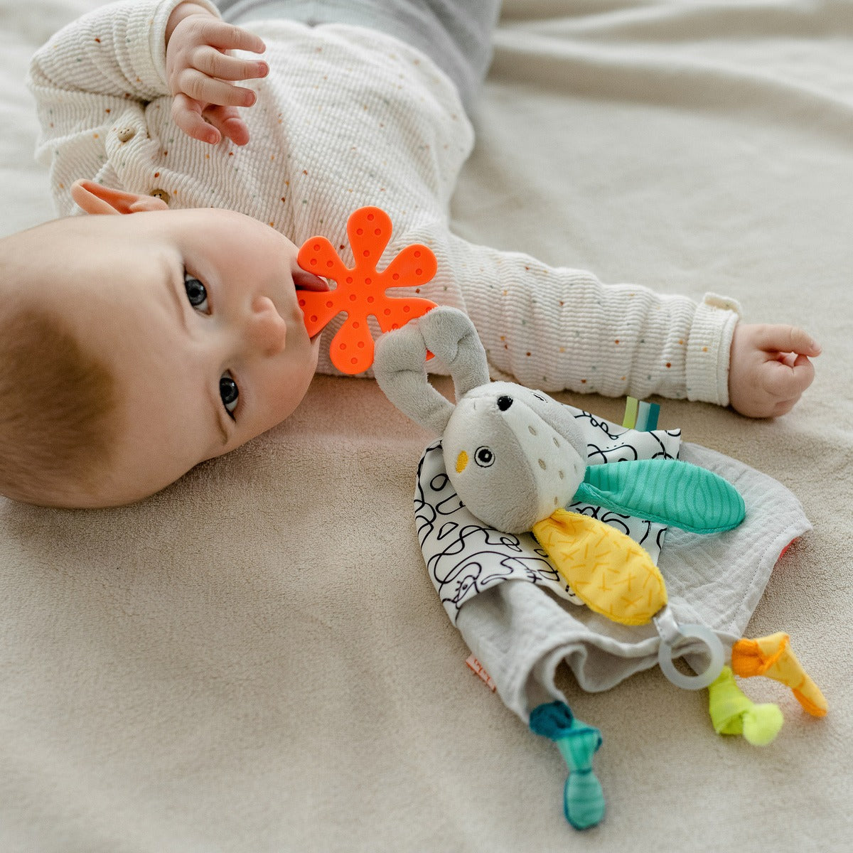 Activity Comforter Hare