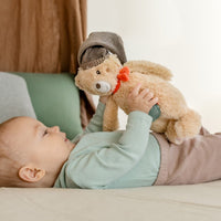 Cuddly Toy Bear