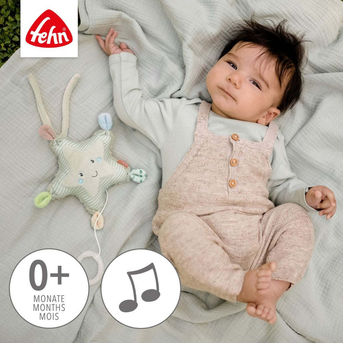Mini Musical Starfish