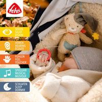 Musical Bear