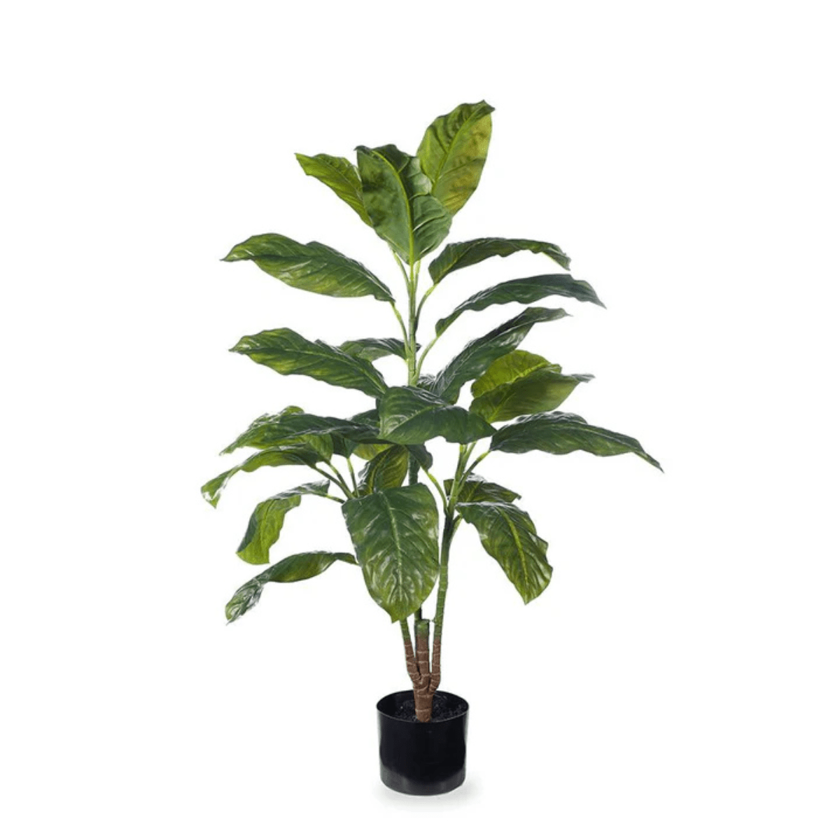 Floral InteriorsEvergreen Plant - Green | 110cm