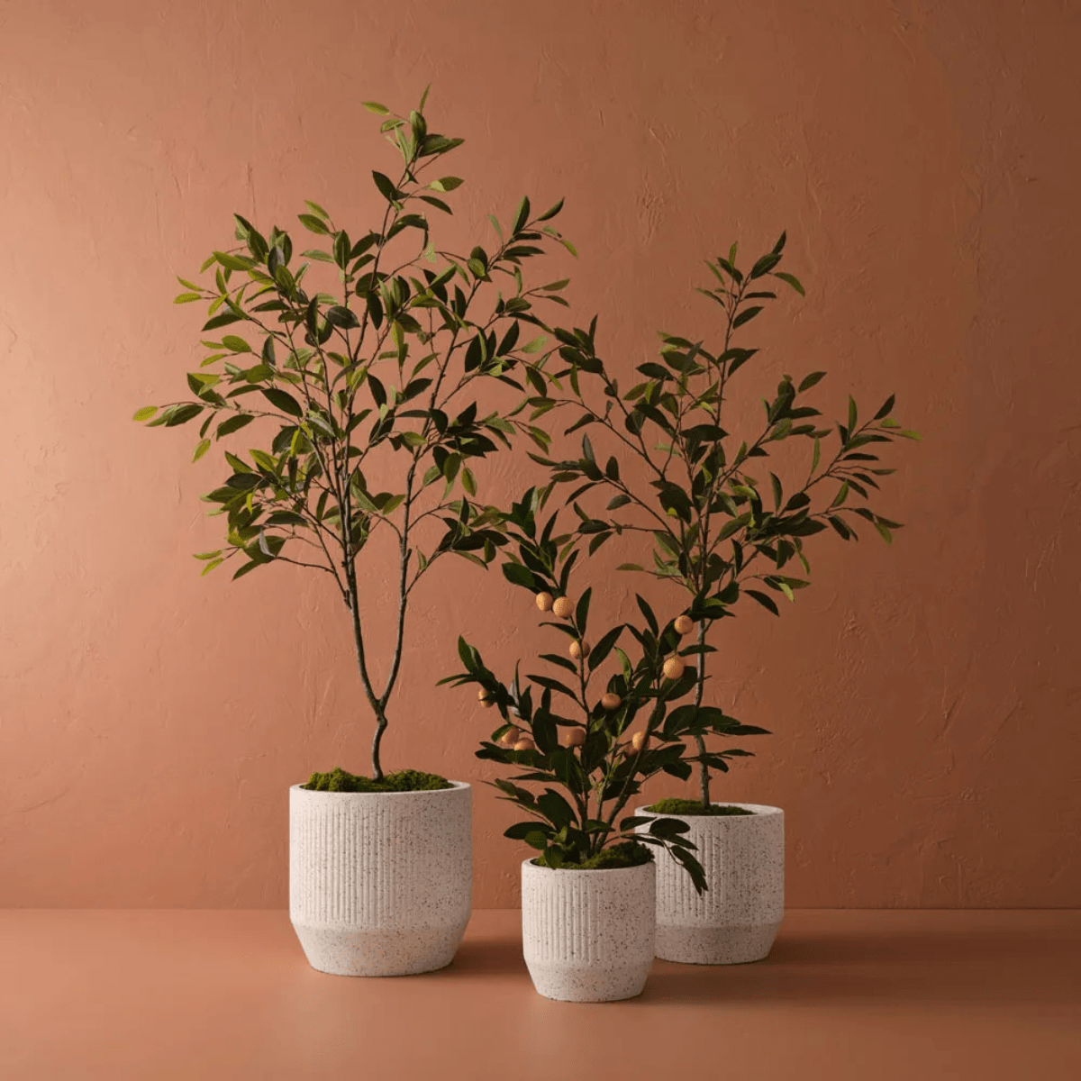 Floral InteriorsFicus Tree | 150cmh