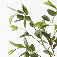 Floral InteriorsFicus Tree | 150cmh