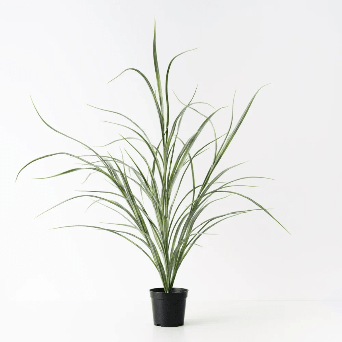 Floral InteriorsGrass Plant - Grey Green | 63cmh
