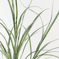 Floral InteriorsGrass Plant - Grey Green | 63cmh