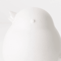 Floral InteriorsKaka Bird - White