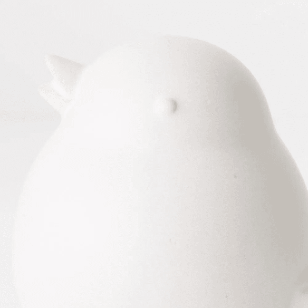 Floral InteriorsKaka Bird - White