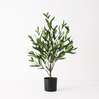 Floral InteriorsOlive Tree - Green | 73cmh