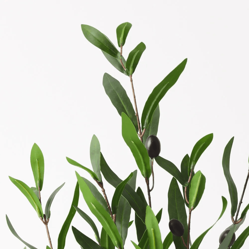 Floral InteriorsOlive Tree - Green | 73cmh