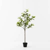 Floral InteriorsOrange Blossom Tree | 120cmh