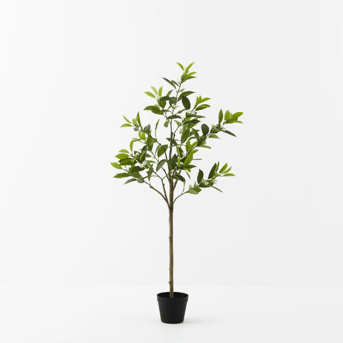 Floral InteriorsOrange Blossom Tree | 120cmh
