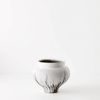 Floral InteriorsPot Piedada | Small