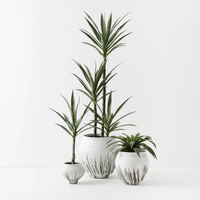 Floral InteriorsPot Piedada | Small