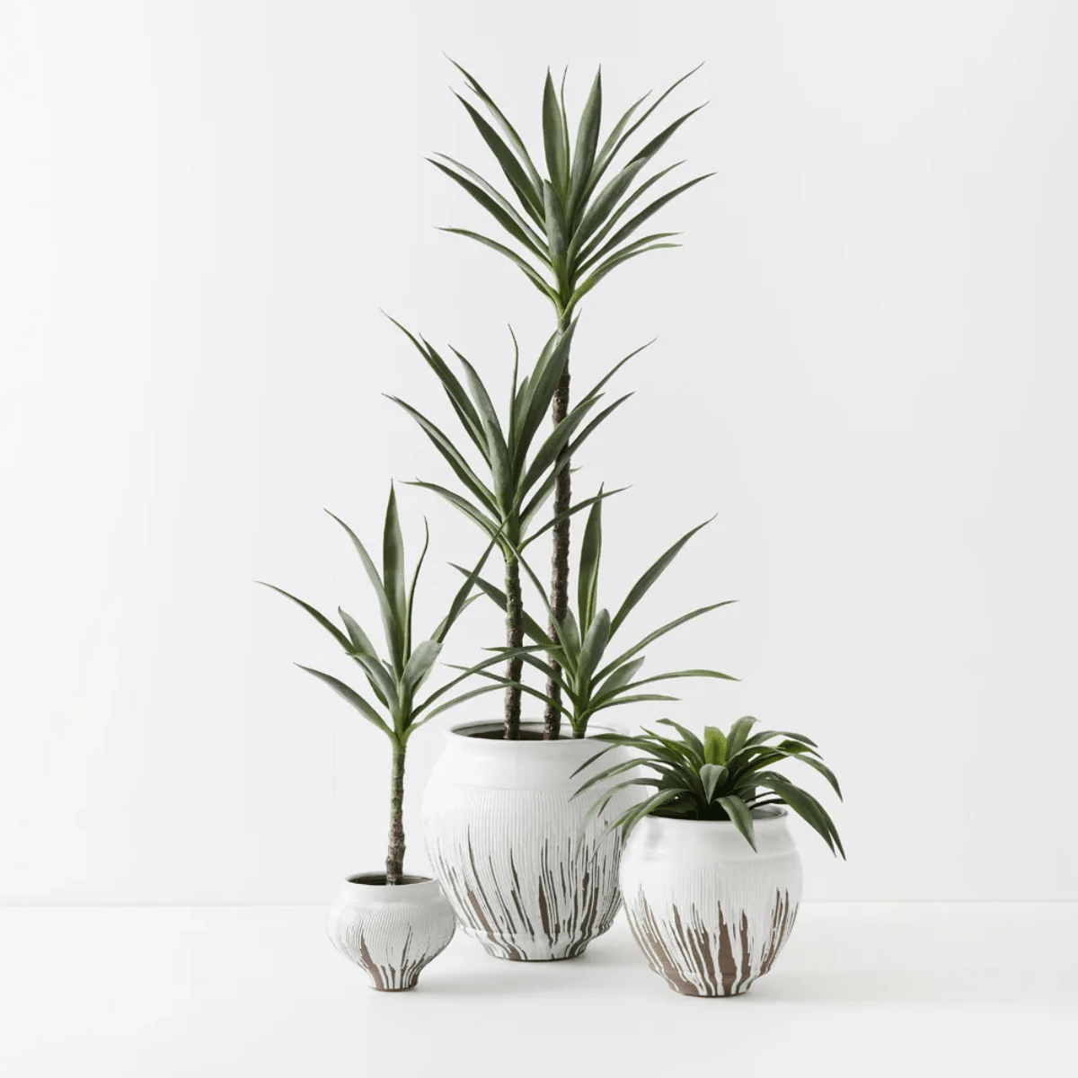 Floral InteriorsPot Piedada | Small