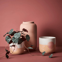 Floral InteriorsSaxifraga Hanging Pot | 55cm