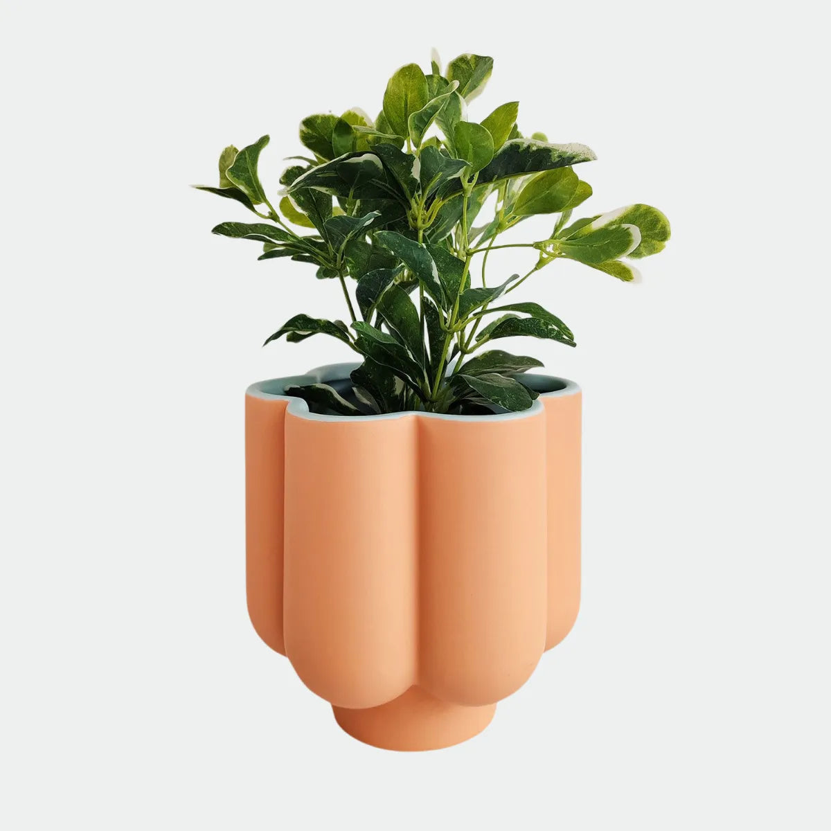 Flower Planter - Pink & Blue - Urban Products - Image 3