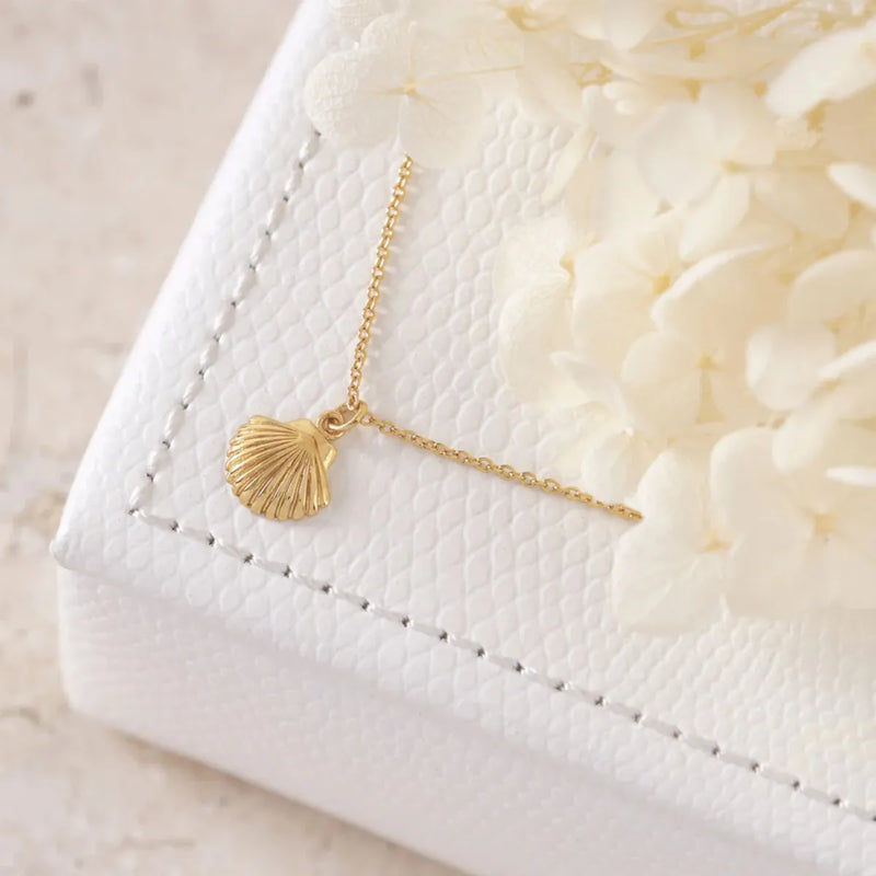 Gold Dainty Seashell Necklace - Midsummer Star - Image 1