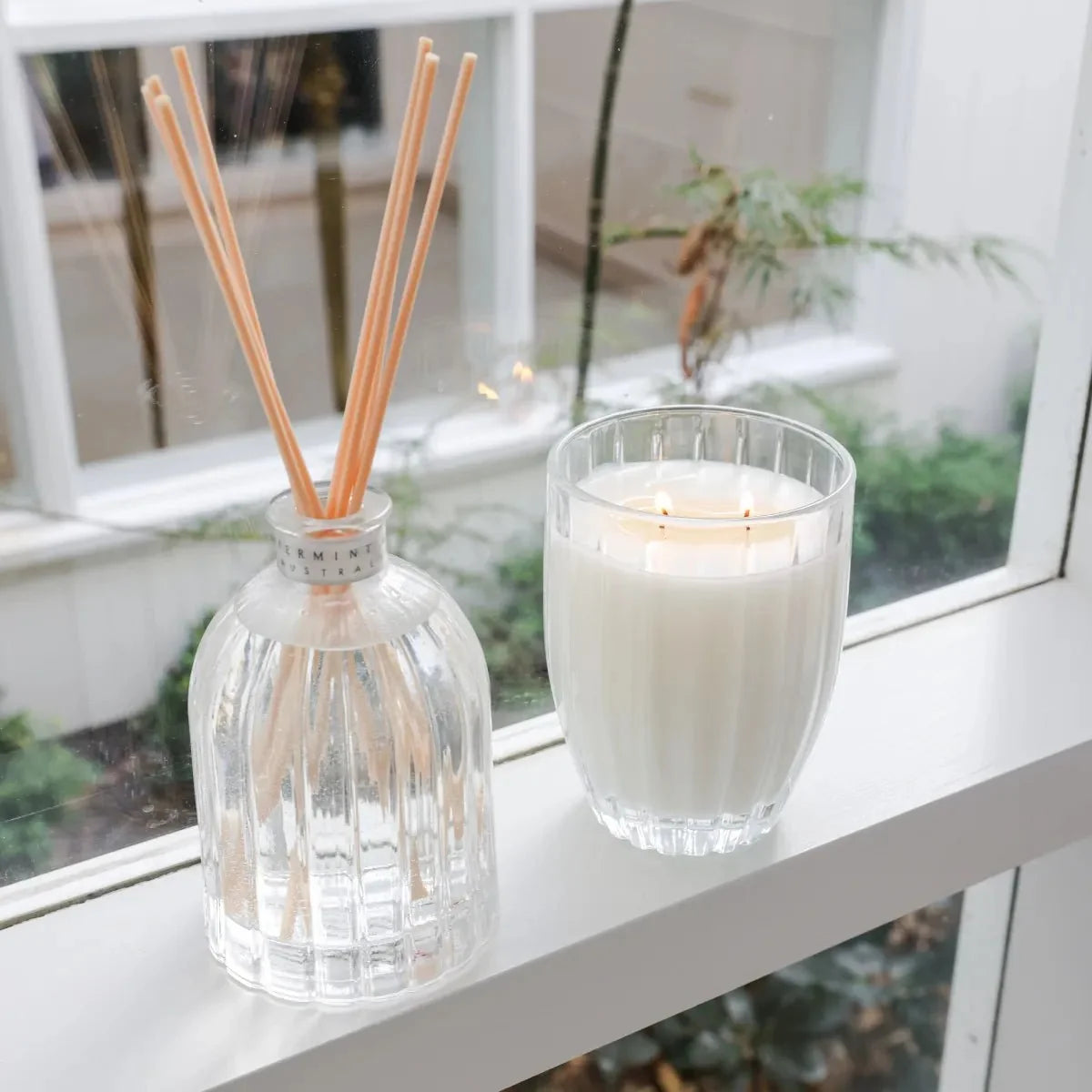 A diffuser and candle on a windowsill with foliage, Peppermint Grove