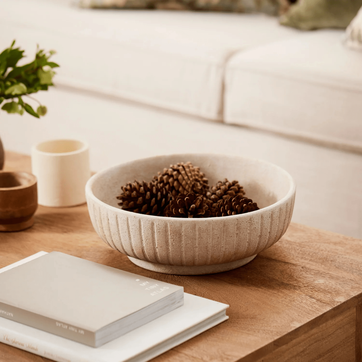 A textured bowl on a coffee table in a living room, Madras Link