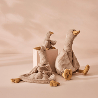 Jiggle & GigglePuddle Goose