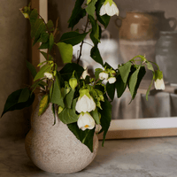 Madras LinkAlba Natural Textured Vase