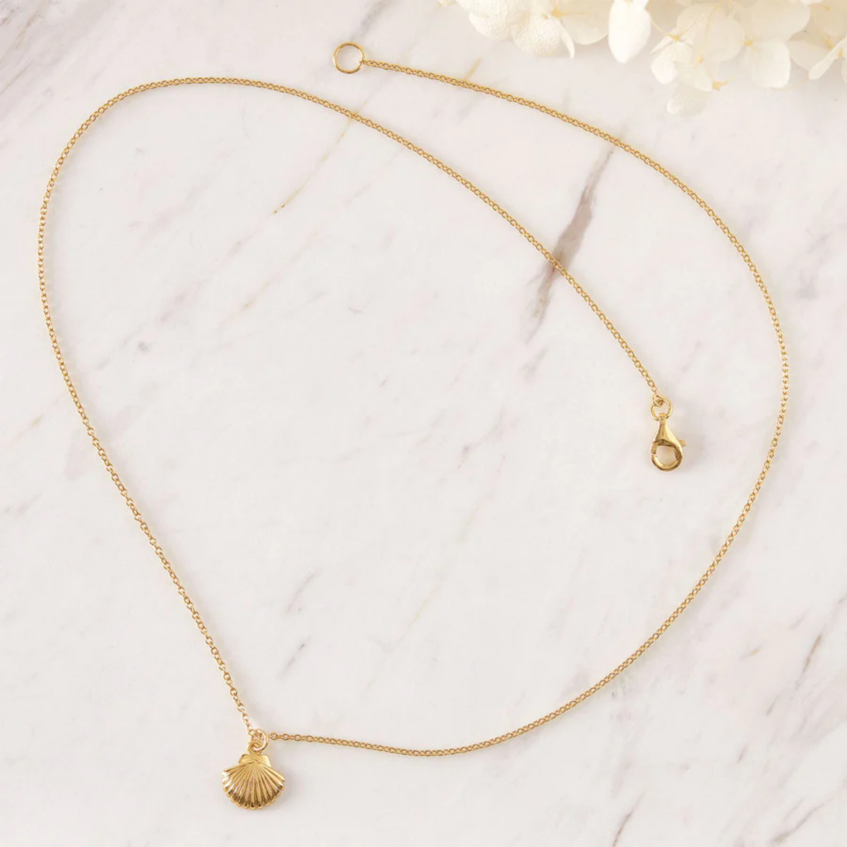 Gold Dainty Seashell Necklace