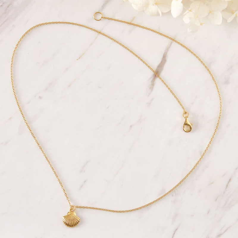 Gold Dainty Seashell Necklace