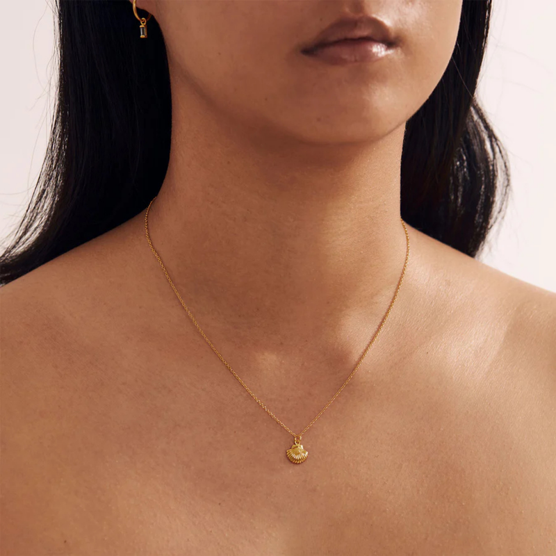 Gold Dainty Seashell Necklace