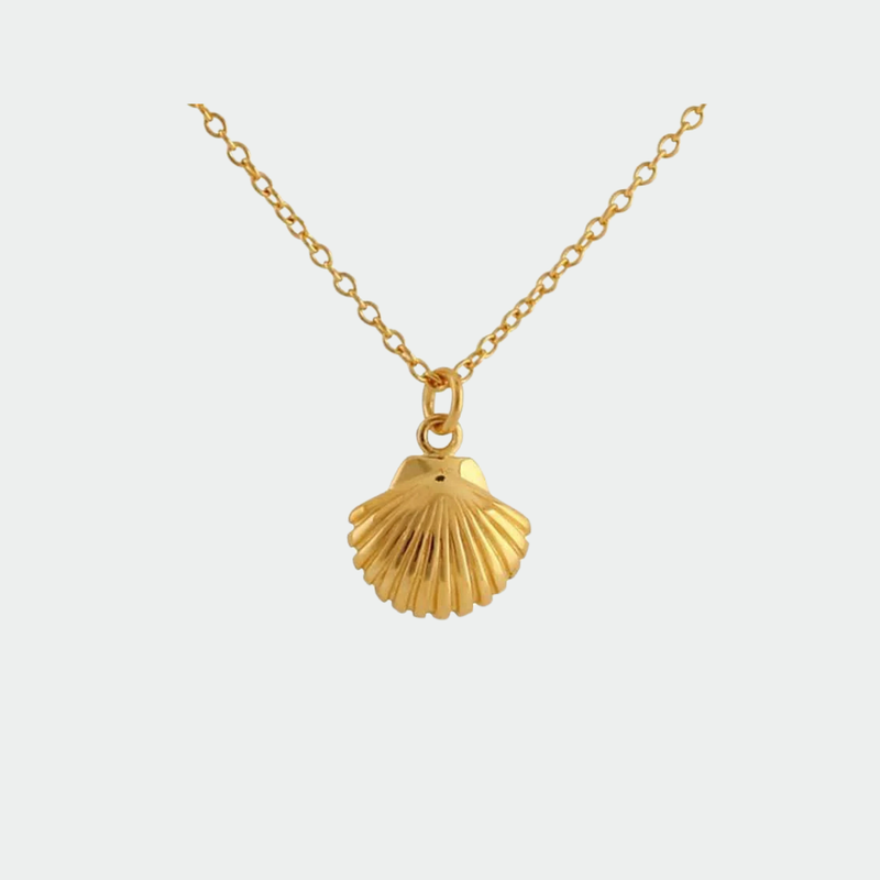 Gold Dainty Seashell Necklace