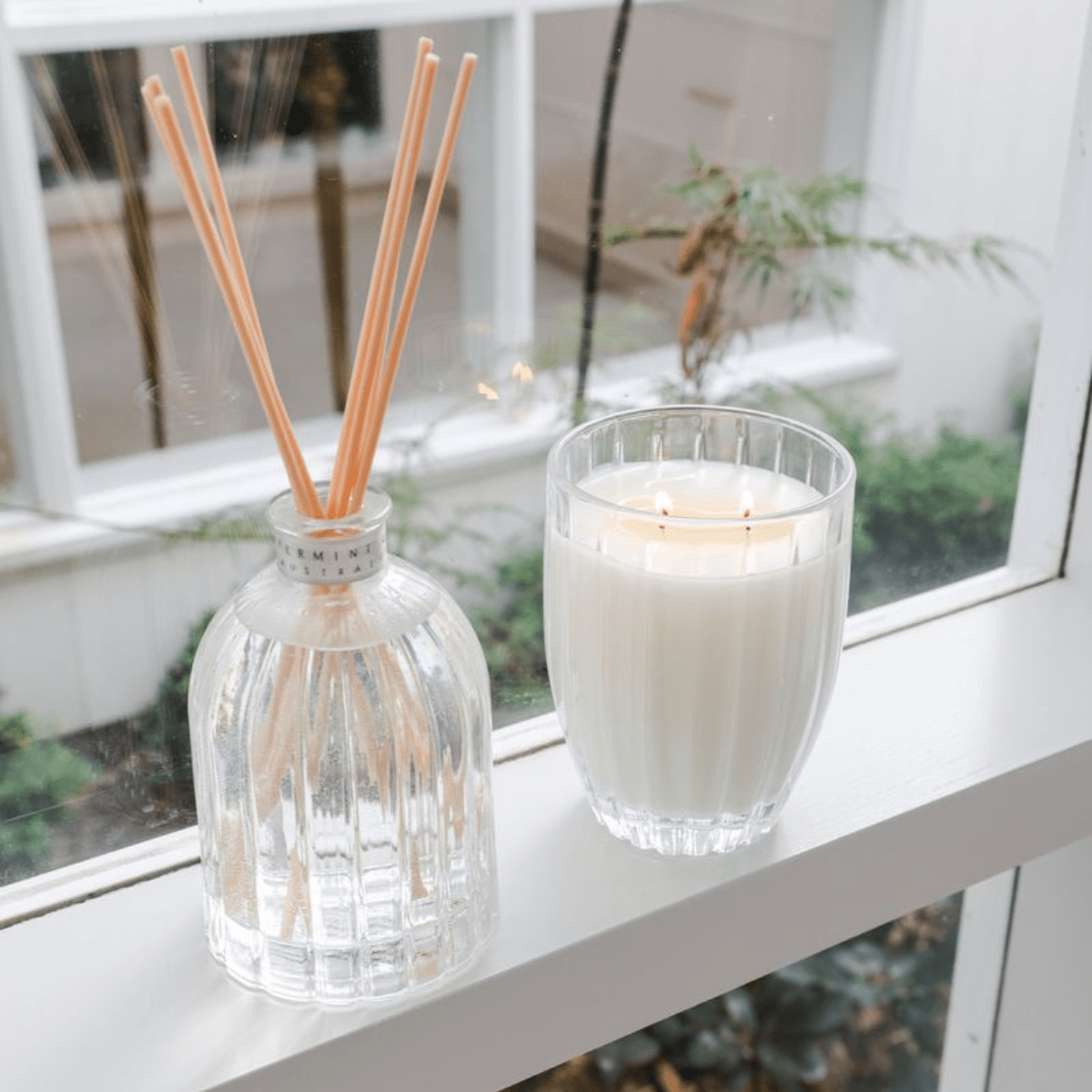 Peppermint GroveCoconut & Lime Candle - 370g
