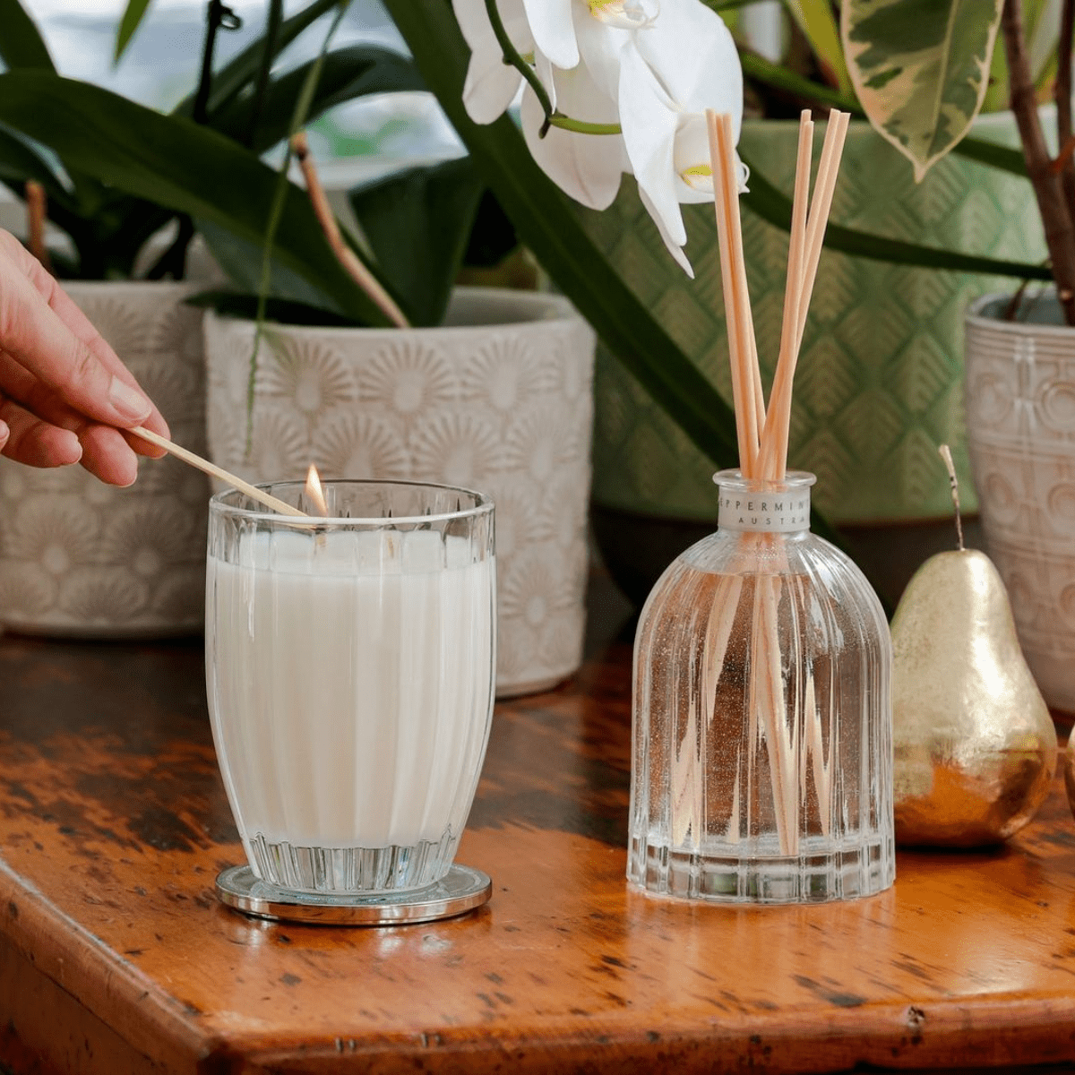 Peppermint GroveCoconut & Lime Candle - 60g