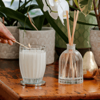 Peppermint GroveCoconut & Lime Candle - 60g