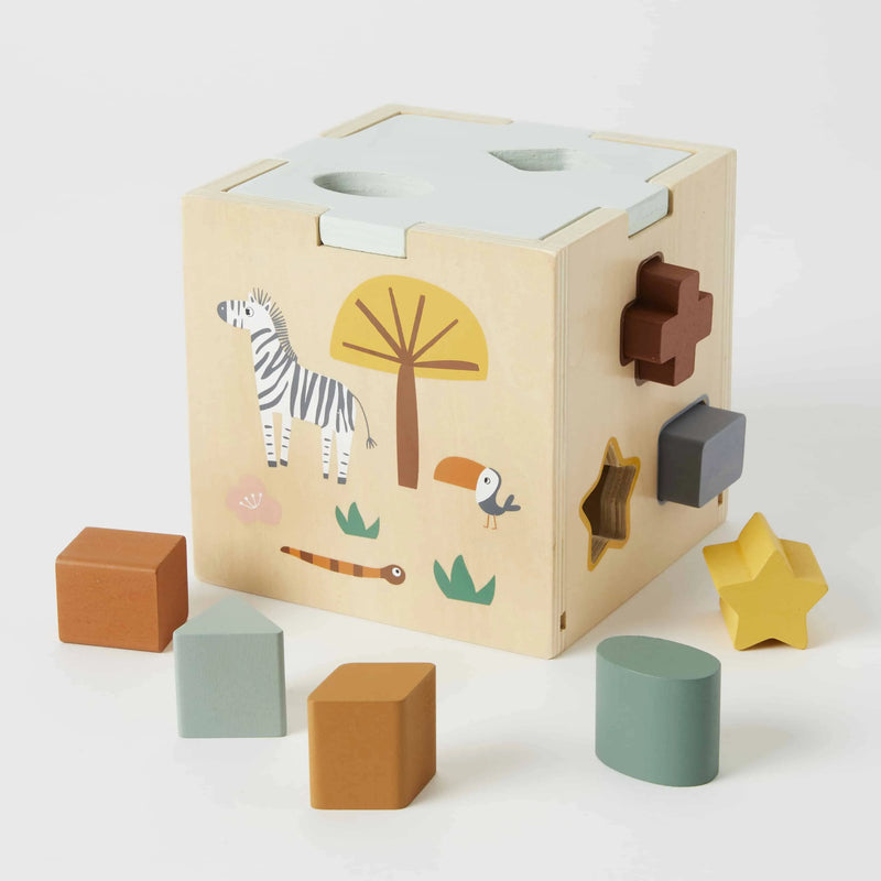 Shape Sorter - Pilbeam - Image 1