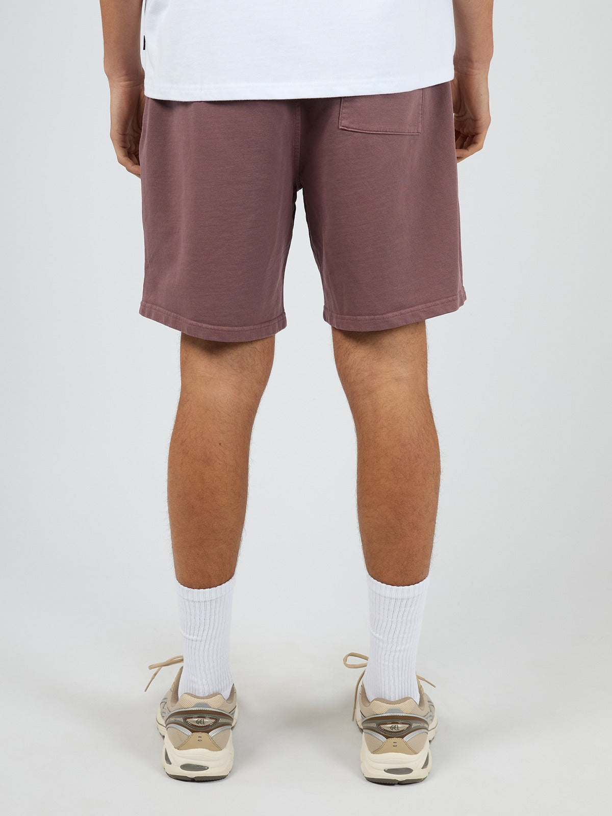 Essential Theory Short V2 - Vino