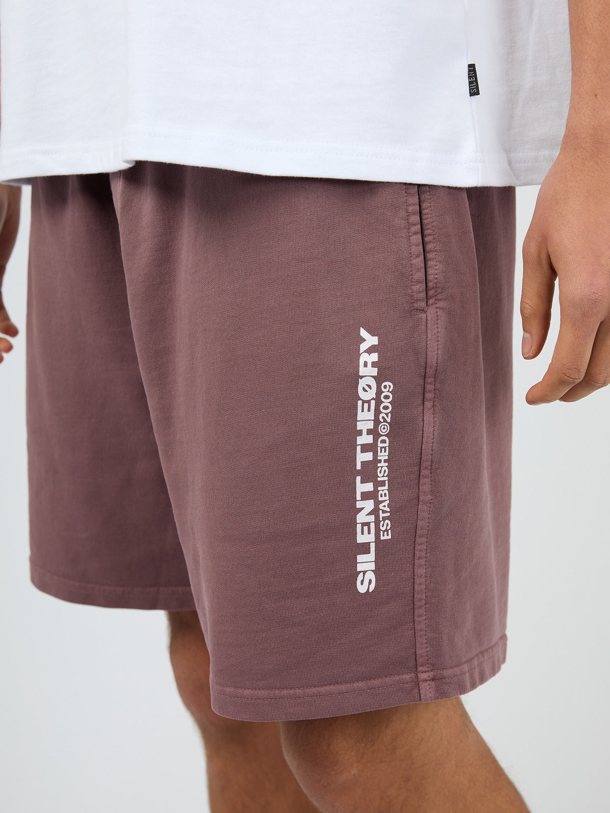 Essential Theory Short V2 - Vino