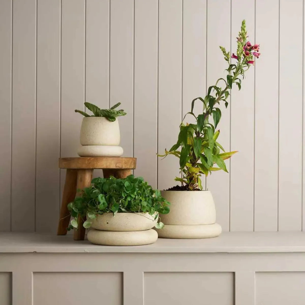 Small Cloud Planter / White Speckle - Robert Gordon - Image 2