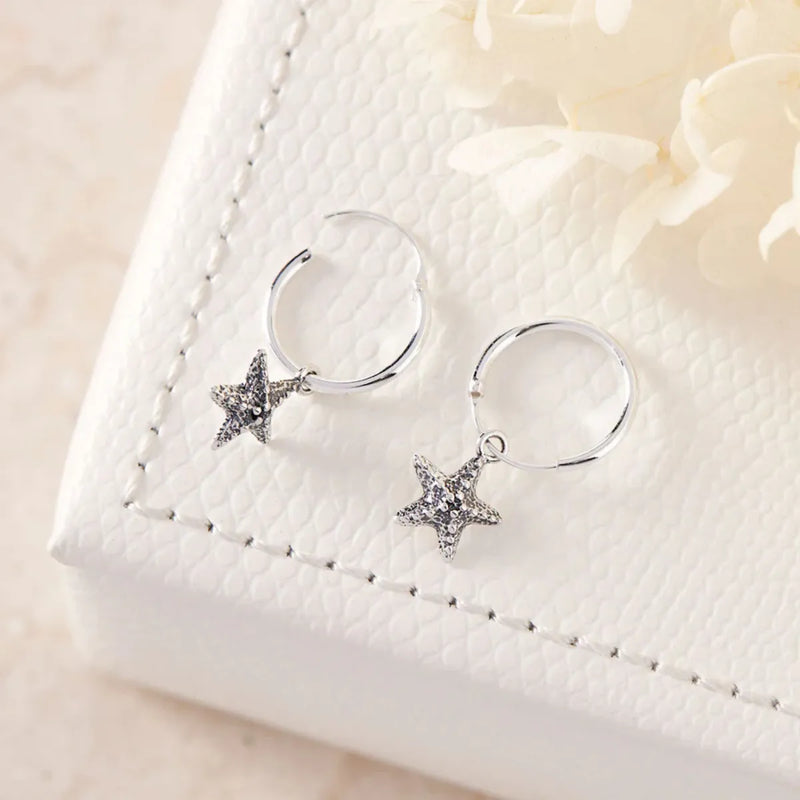 Starfish Sleepers - Midsummer Star - Image 1