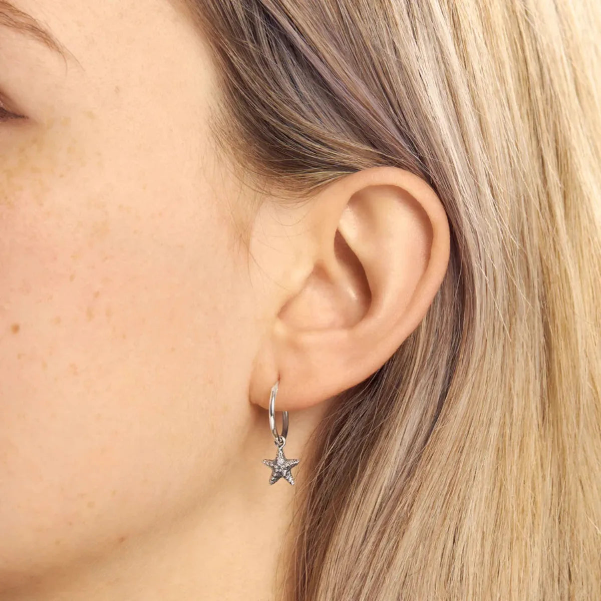 Starfish Sleepers - Midsummer Star - Image 2