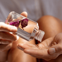 Stray WillowBody & Bath Oil - Sweet Muse